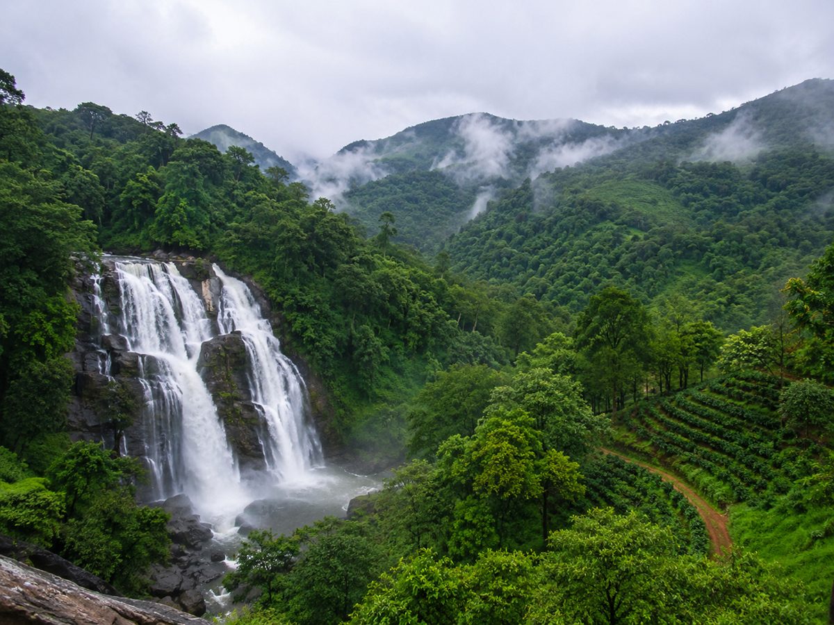 বর্ষায় কুর্গ : মেঘ, কফির সুবাস আর সবুজ পাহাড়ে ৫ দিনের স্বপ্নের সফর বর্ষায় কুর্গ : মেঘ, কফির সুবাস আর সবুজ পাহাড়ে ৫ দিনের স্বপ্নের সফর