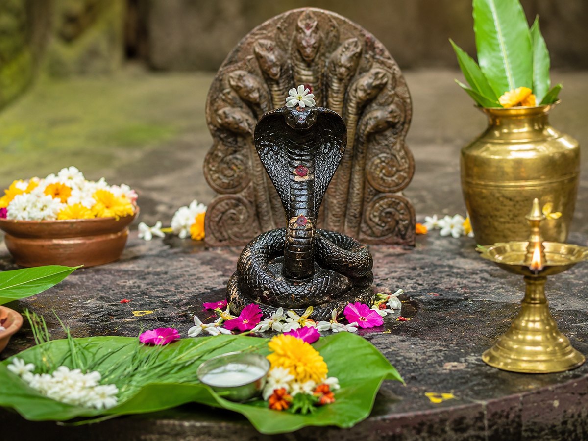 নাগপঞ্চমী : ঐতিহ্য, পুরাণ, বিশ্বাস ও পরিবেশ সংরক্ষণের বার্তা নাগপঞ্চমী : ঐতিহ্য, পুরাণ, বিশ্বাস ও পরিবেশ সংরক্ষণের বার্তা